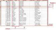 Tabla de una base de datos.