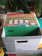 Carpetas de documentos en archivadores.