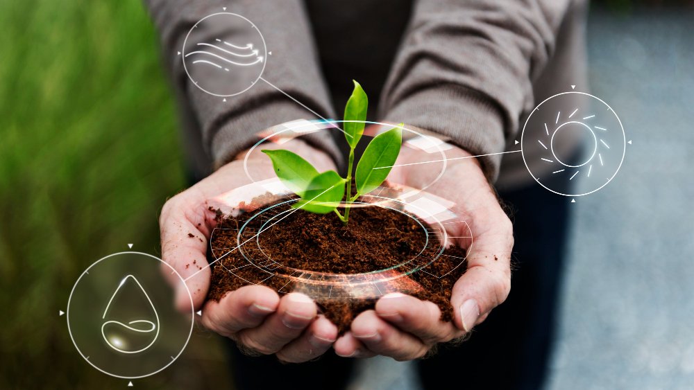 Mano sujetando una planta